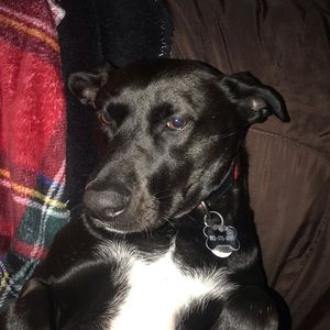 Meet your Posher, Danny